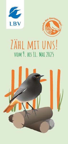 Zählen Sie mit bei der Stunde der Gartenvögel! LBV